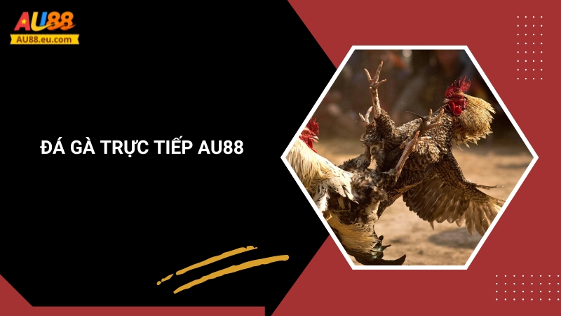 Đá Gà Trực Tiếp Au88: Kịch Tính Sân Đấu, Thắng Lớn Mỗi Ngày