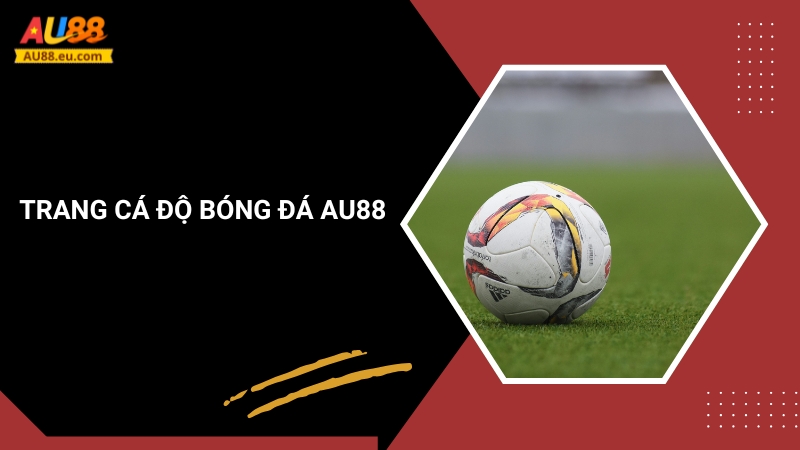 Trang Cá Độ Bóng Đá Au88: Sân Chơi Đỉnh Cao Cho Tín Đồ Túc Cầu